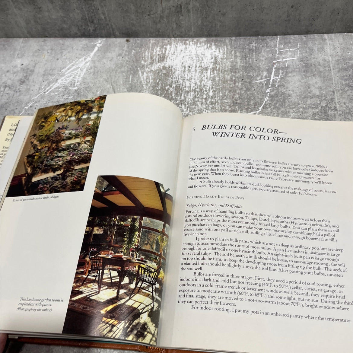 1,000 beautiful house plants and how to grow them book, by Jack Kramer, 1982 Hardcover image 4