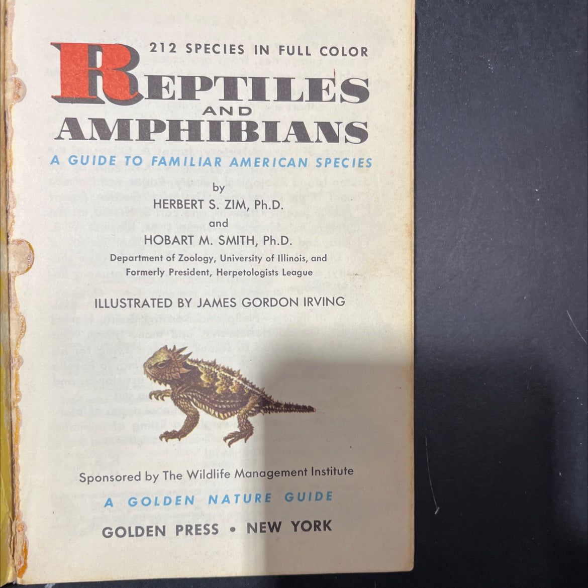 212 species in full color reptiles amphibians a guide to familiar american species book, by herbert s. zim, ph.d. and image 2