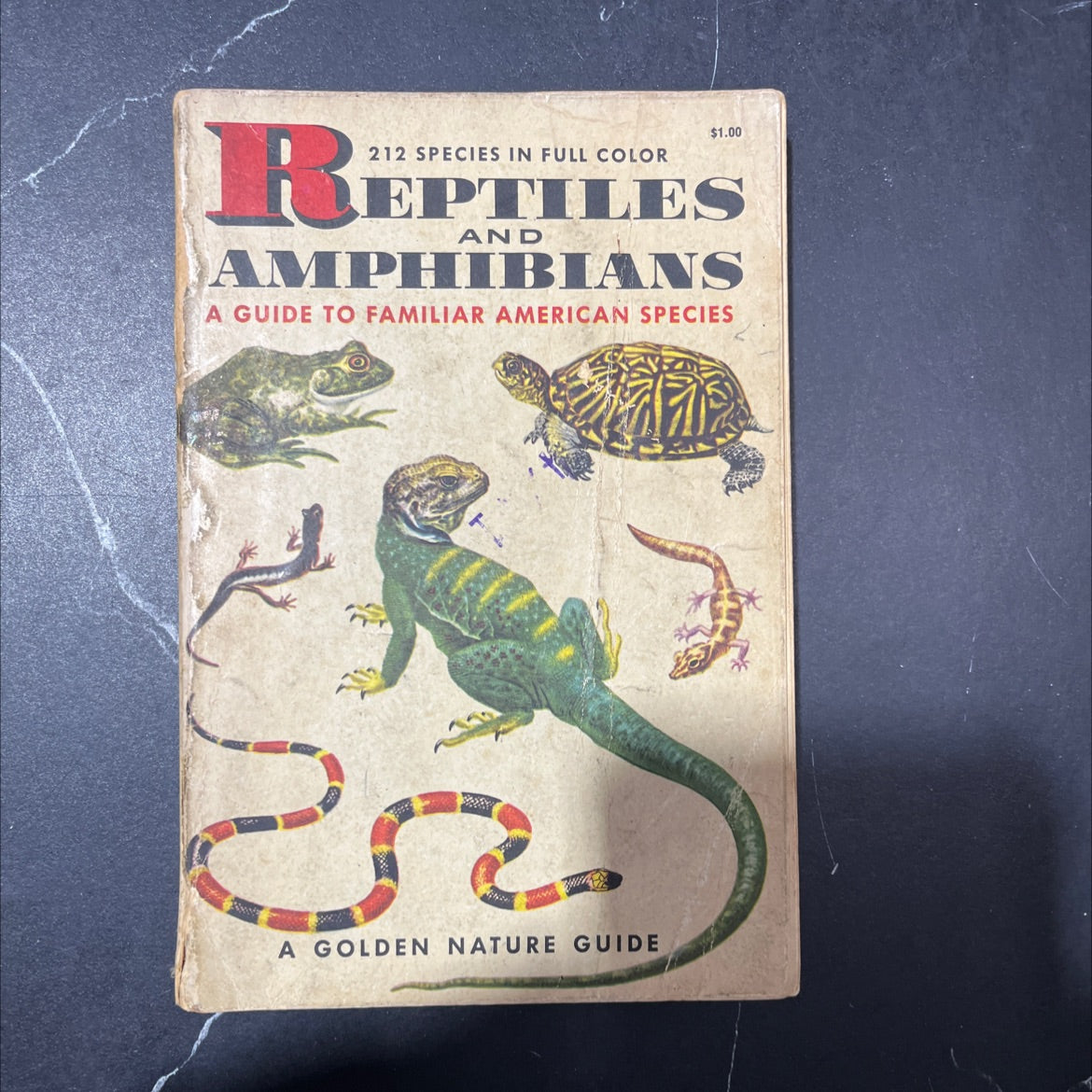 212 species in full color reptiles amphibians a guide to familiar american species book, by herbert s. zim, ph.d. and image 1