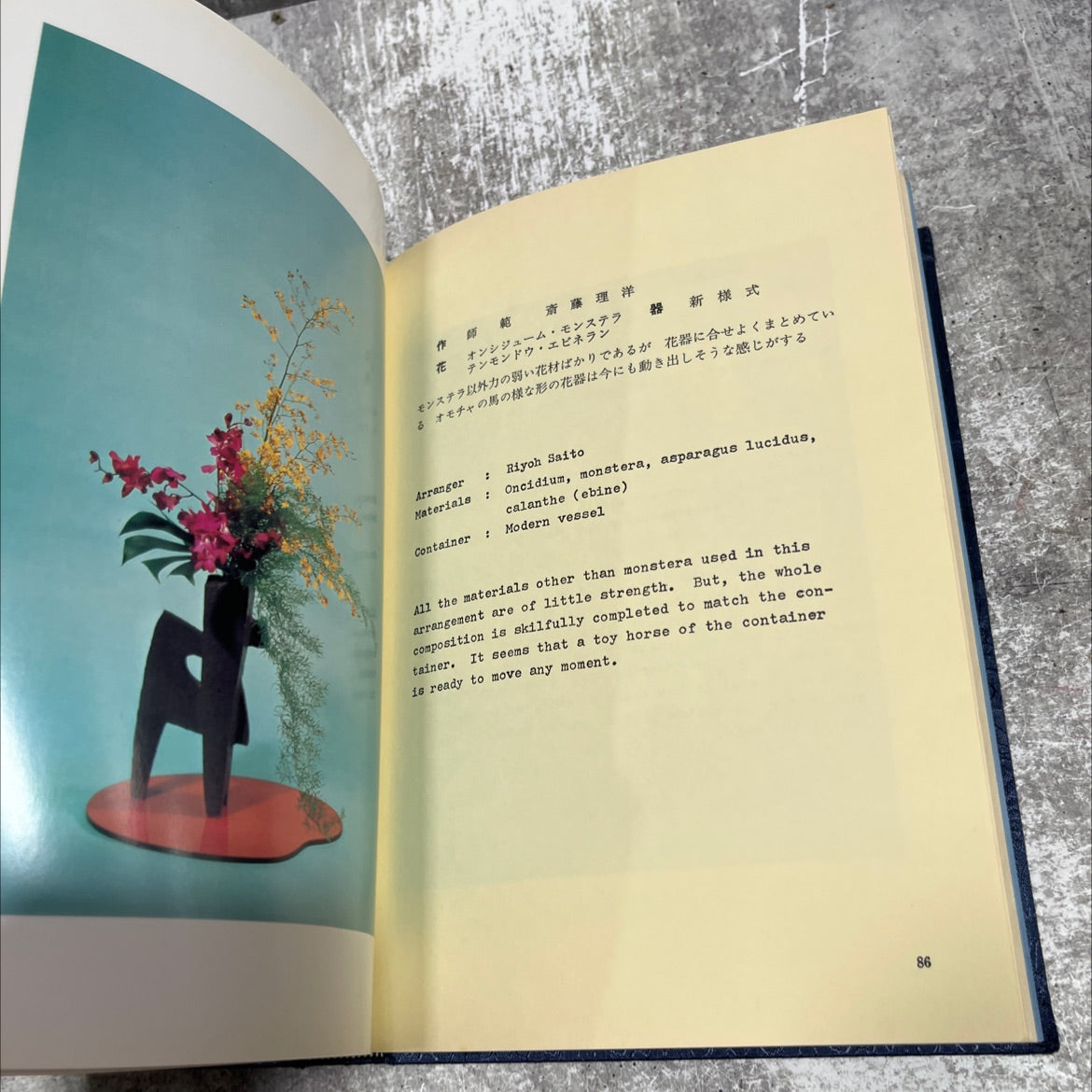 50th anniversary of koryu shoseikai book, by unknown, 1979 Hardcover image 3