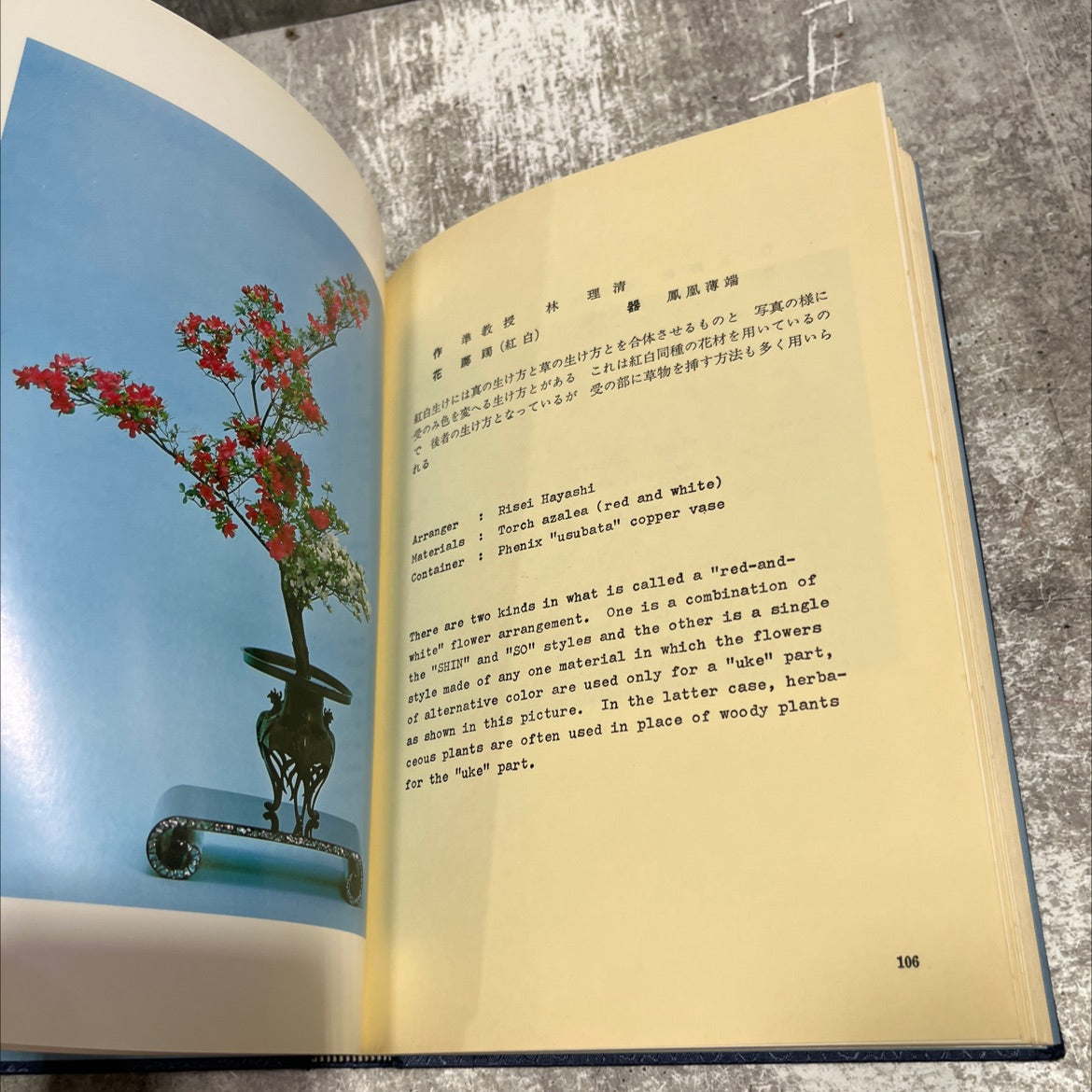 50th anniversary of koryu shoseikai book, by unknown, 1979 Hardcover image 4