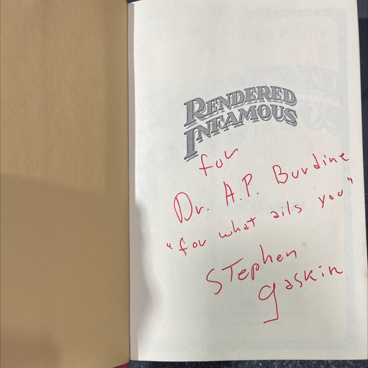 a book of political reality rendered infamous book, by stephen gaskin, 1981 Hardcover image 4