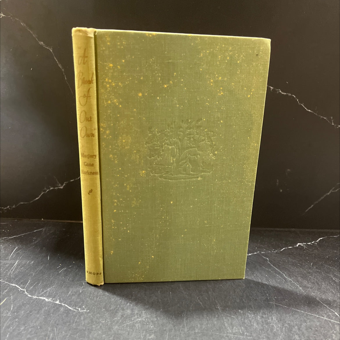 a brook of our own book, by marjory gane harkness, 1945 Hardcover image 1