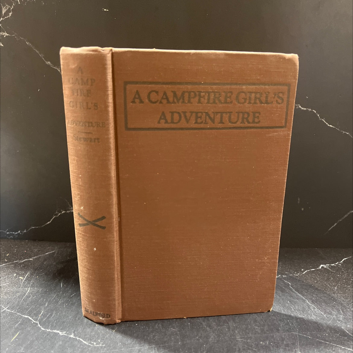 a campfire girl's adventure book, by jane l. stewart, 1914 Hardcover image 1