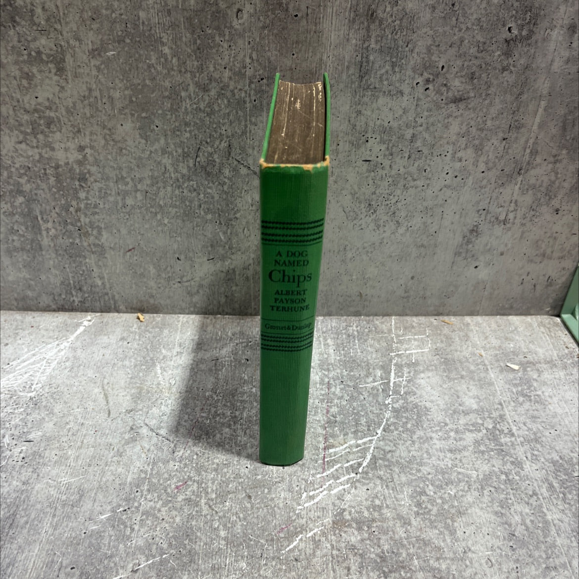 a dog named chips the life and adventures of a mongrel scamp book, by albert payson terhune, 1931 Hardcover image 4
