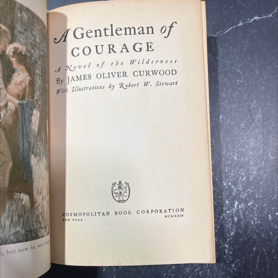 a gentleman of courage book, by james oliver curwood, 1924 Hardcover image 2