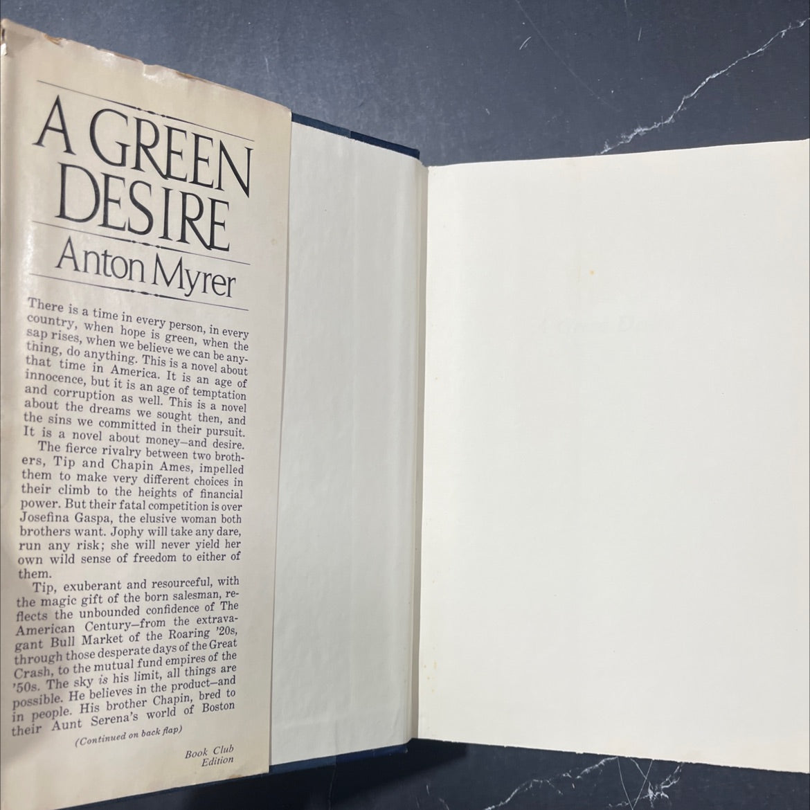 a green mon aloup of desire book, by Anton Myrer, 1981 Hardcover image 4