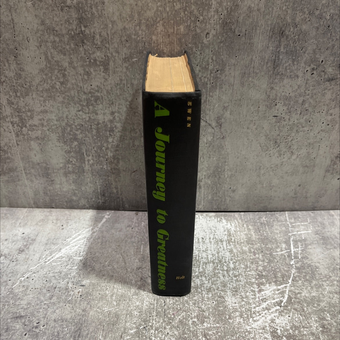 a journey to greatness the life and music of george gershwin book, by david ewen, 1956 Hardcover image 4