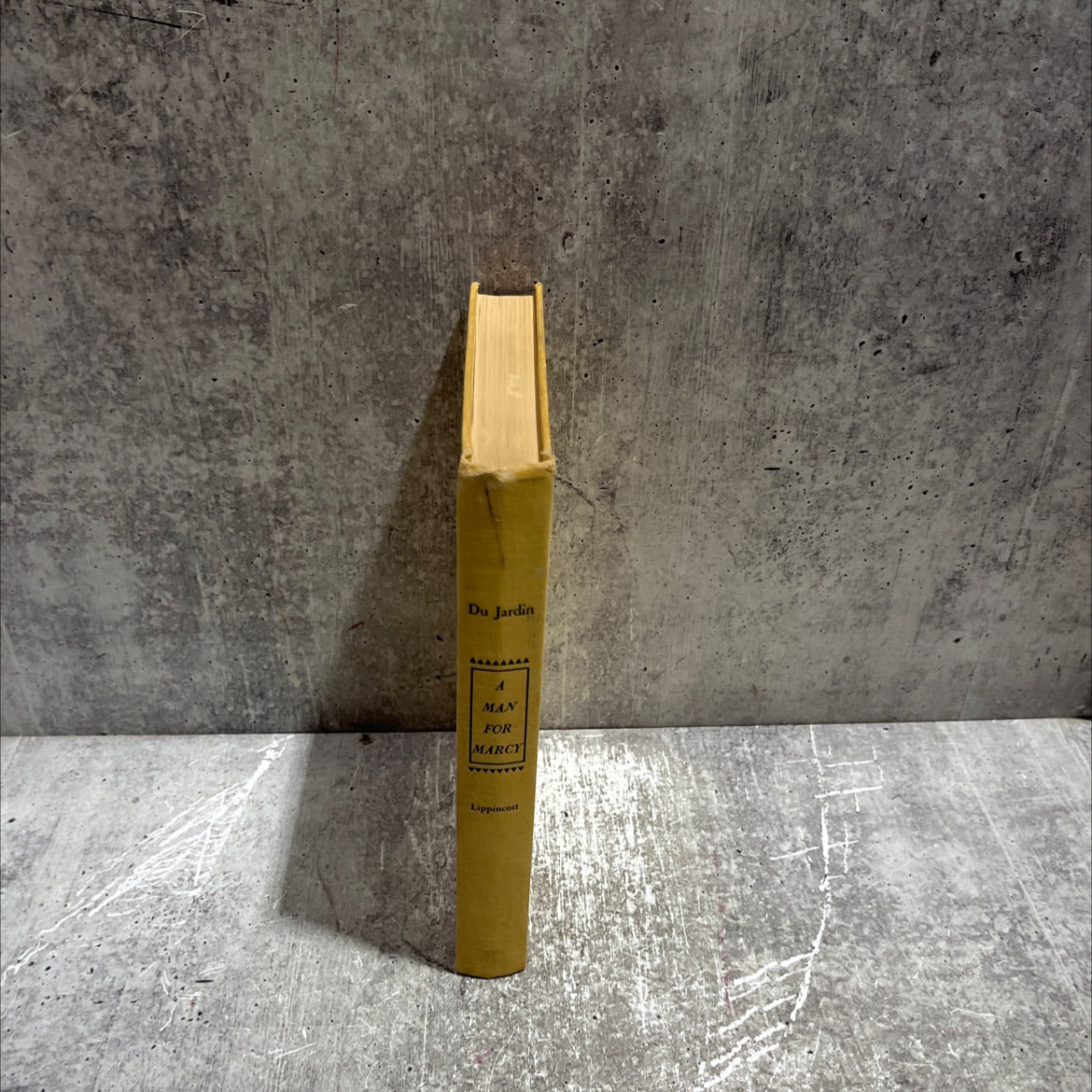 a man for marcy book, by rosamond du jardin, 1954 Hardcover image 4