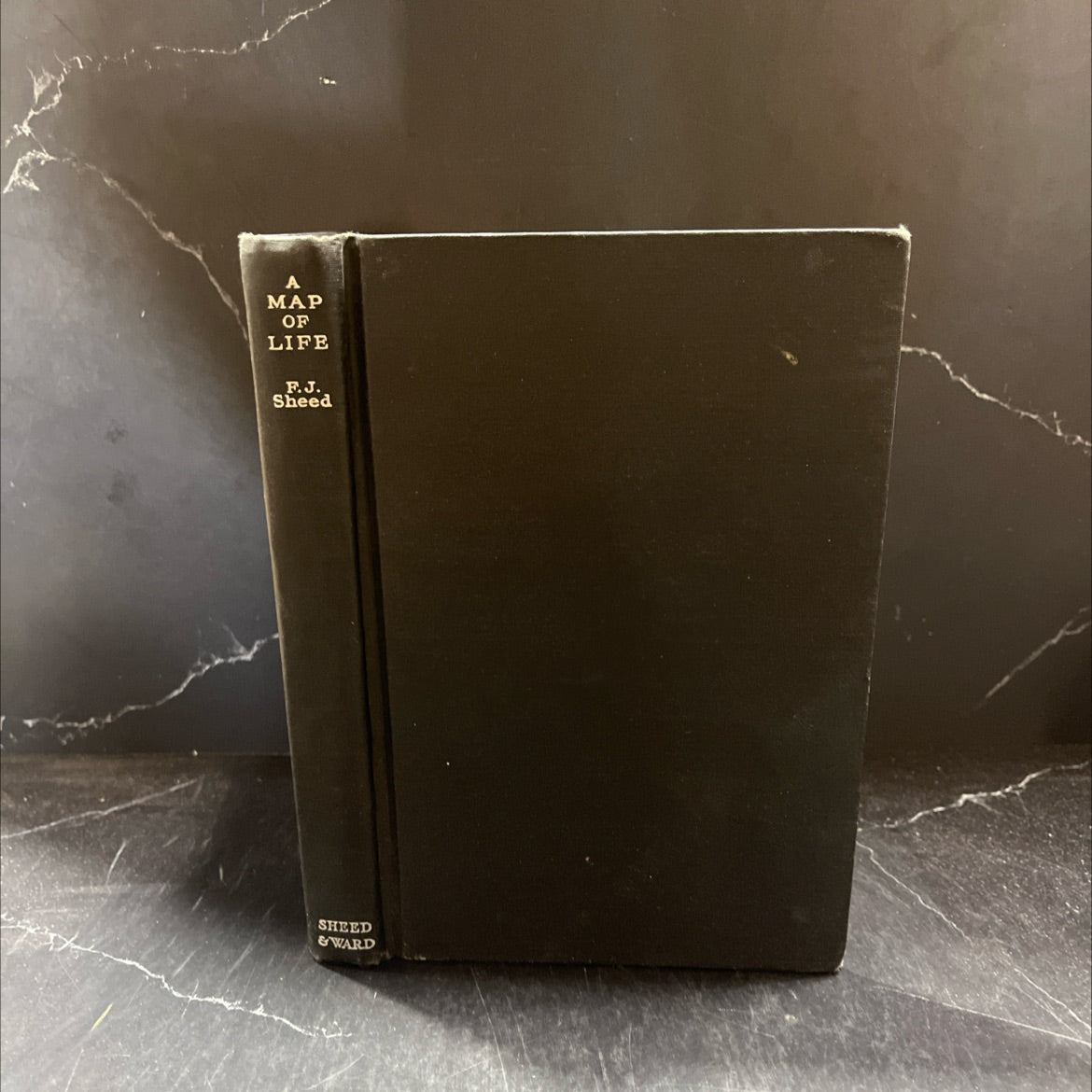 a map of life book, by f. j. sheed, 1934 Hardcover image 1