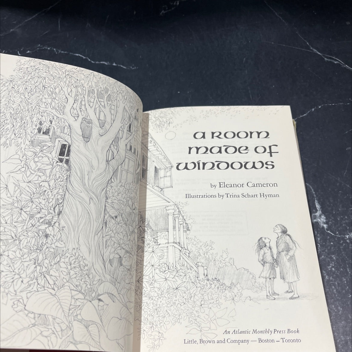 SIGNED a room made of windows book, by Eleanor Cameron, 1971 Hardcover, Vintage image 2