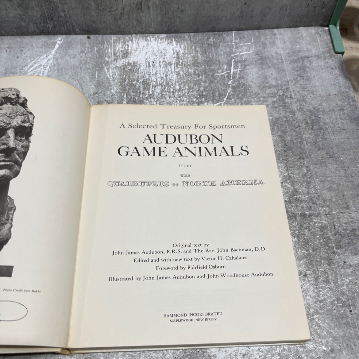 a selected treasury for sportsmen audubon game animals book, by John James Audubon, F. R.S. and The Rev. John Bachman, image 2
