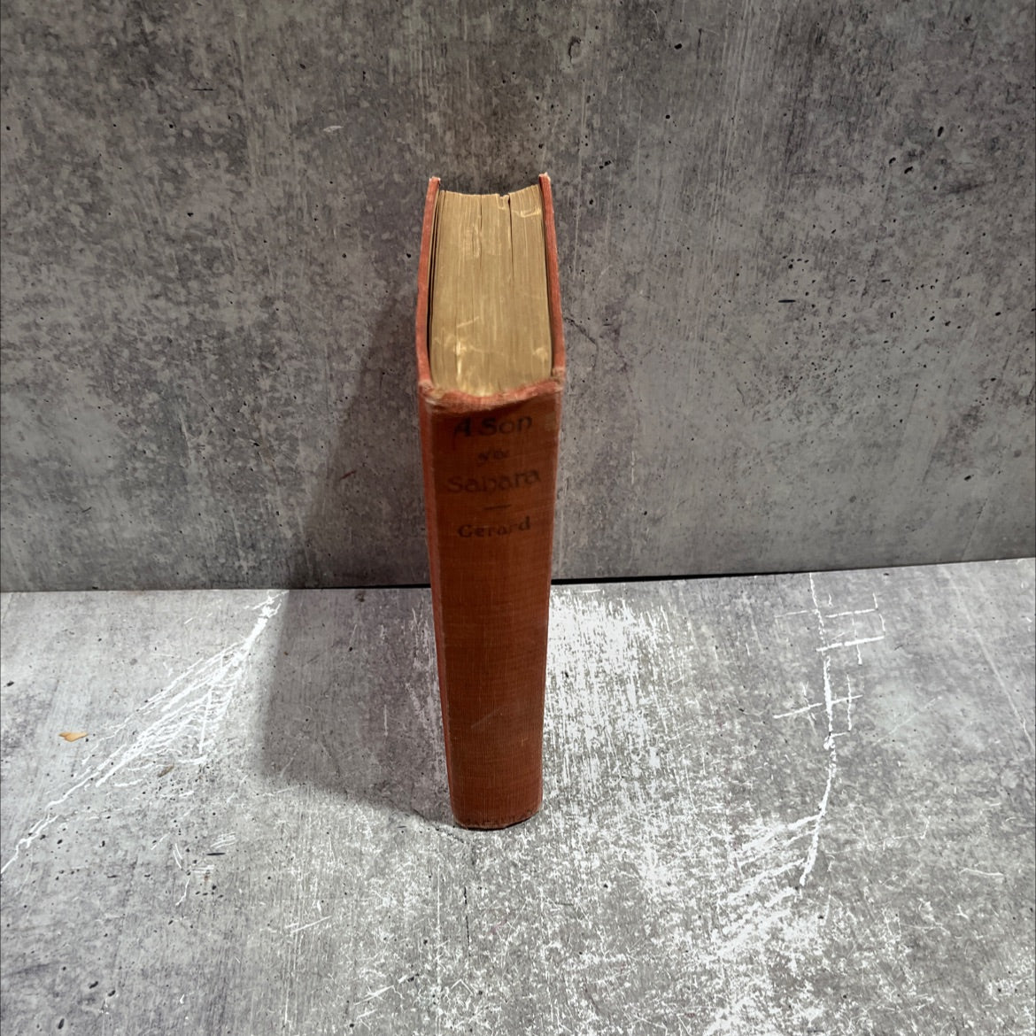 a son of the sahara book, by louise gerard, 1922 Hardcover image 4