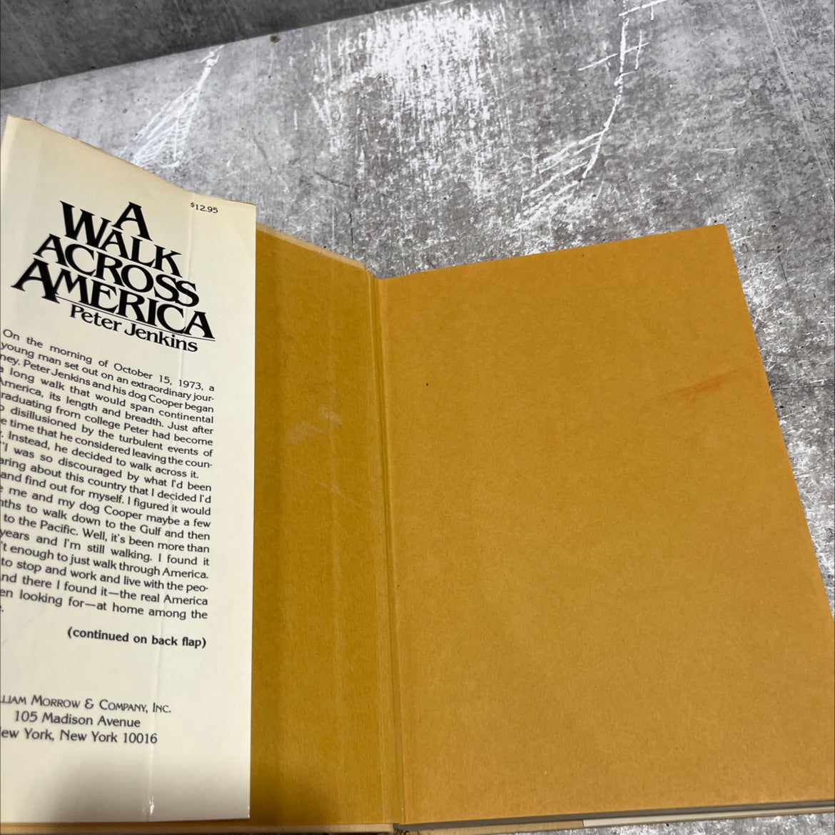 a walk across america book, by Peter Jenkins, 1979 Hardcover image 4