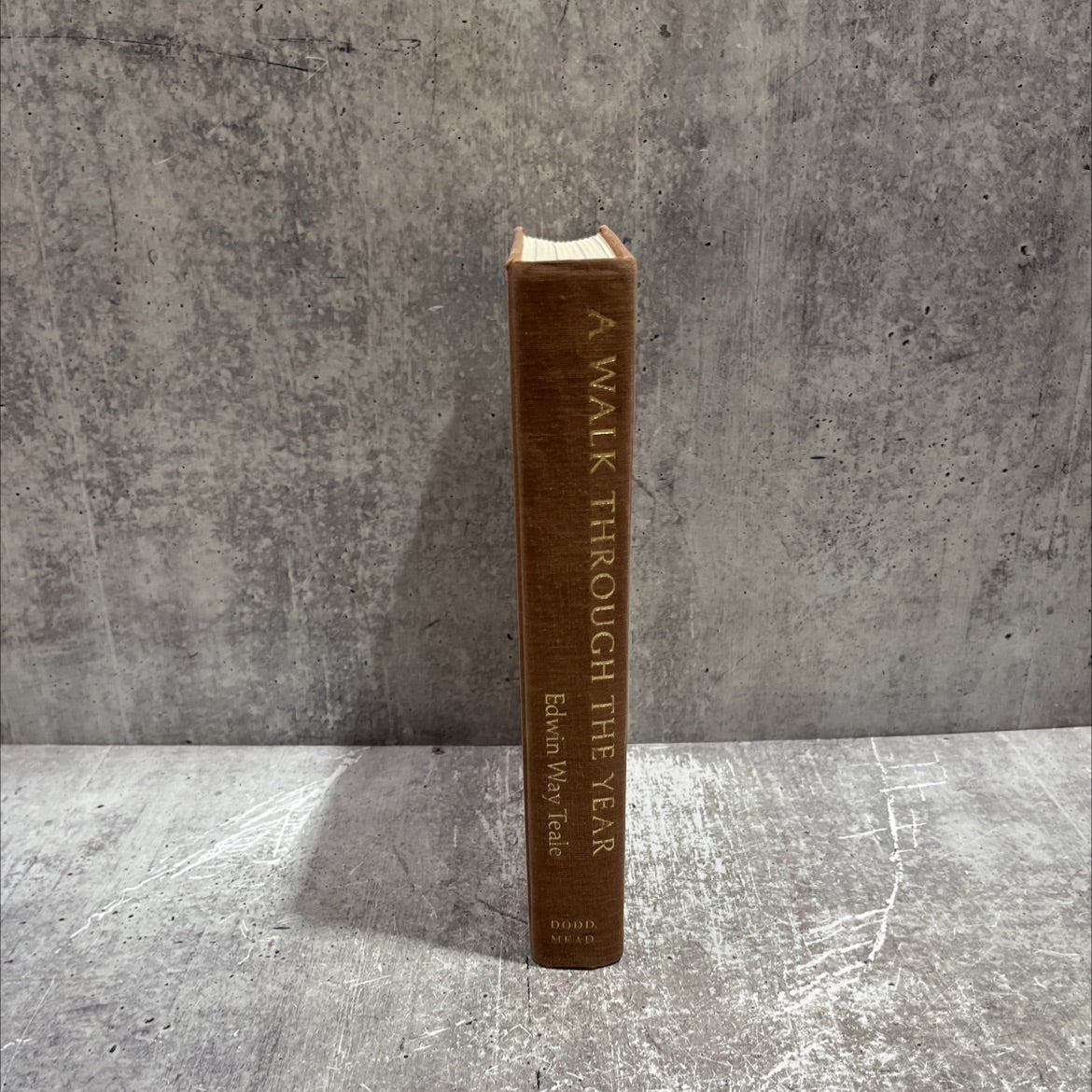 a walk through the year book, by edwin way teale, 1978 Hardcover image 4