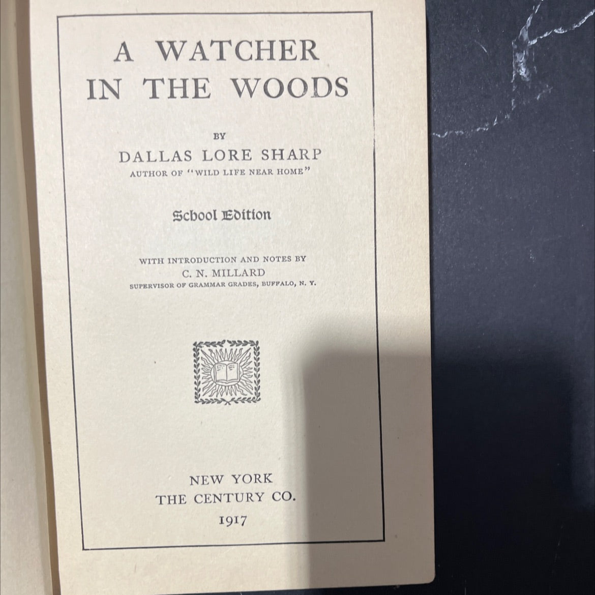 a watcher in the woods book, by dallas lore sharp, 1917 Hardcover image 2