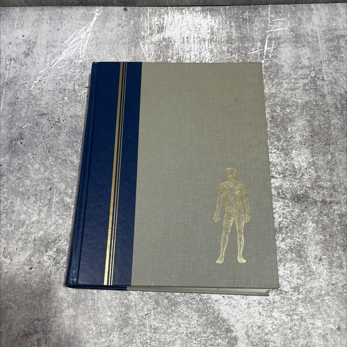 abc's of the human body book, by Alma E. Guinness, 1987 Hardcover image 1