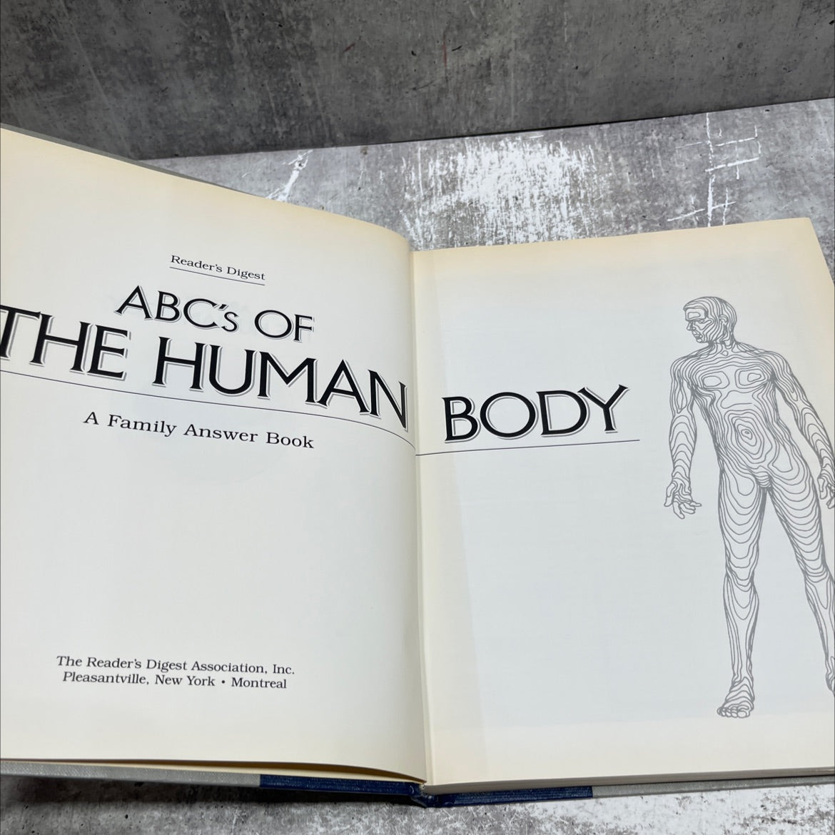 abc's of the human body book, by Alma R. Ou An, Robert M. Grant, Evo Sharkey, A. Miller, 1987 Hardcover image 2