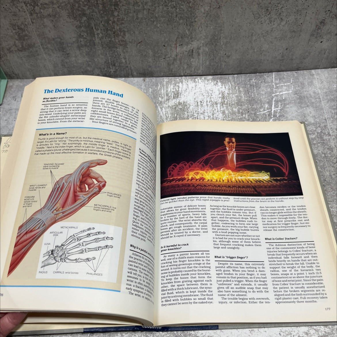 abc's of the human body book, by Alma R. Ou An, Robert M. Grant, Evo Sharkey, A. Miller, 1987 Hardcover image 4