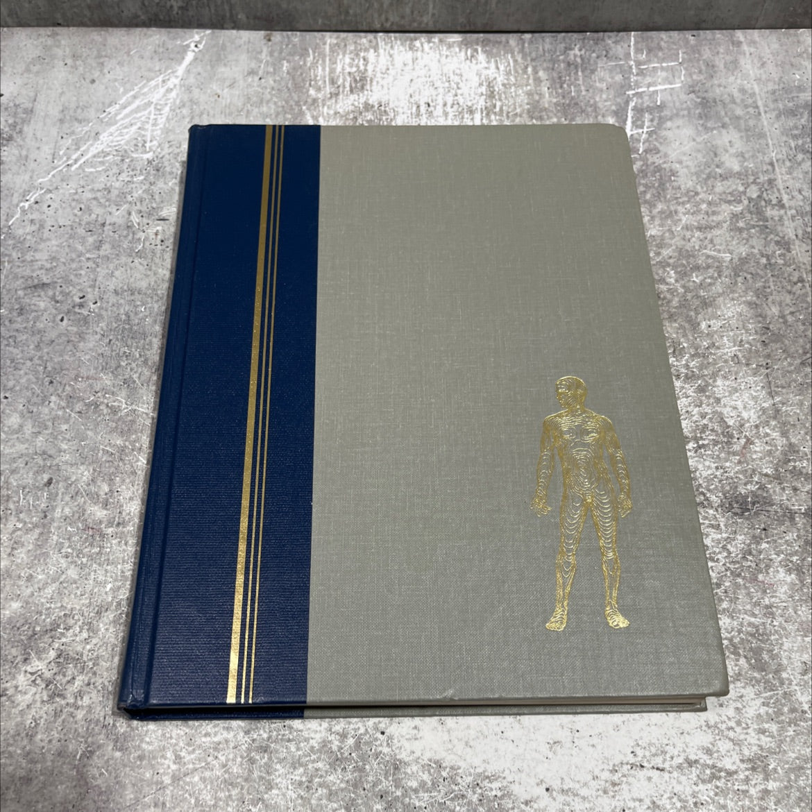 abc's of the human body book, by Alma R. Ou An, Robert M. Grant, Evo Sharkey, A. Miller, 1987 Hardcover image 1
