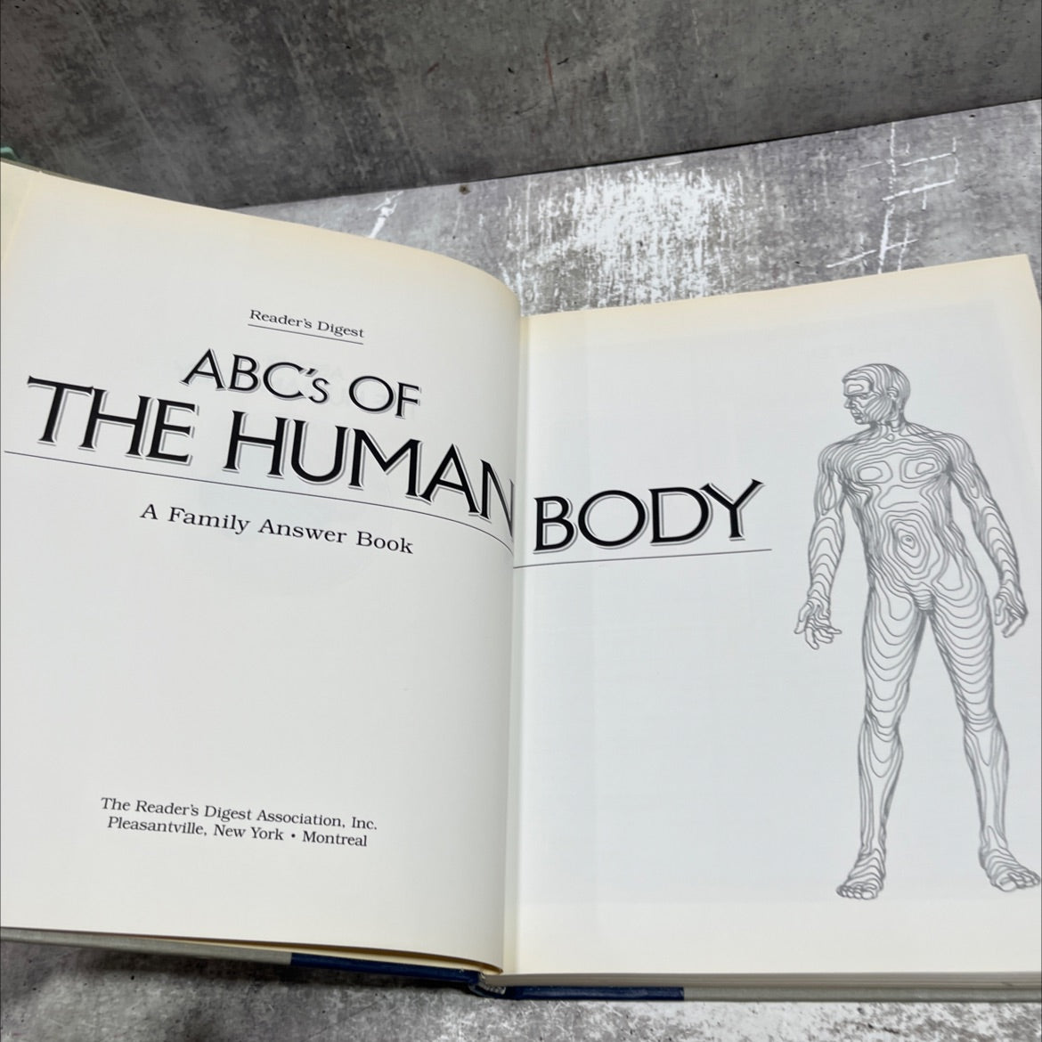 abc's of the human body book, by Alma E. Guinness, 1987 Hardcover image 2