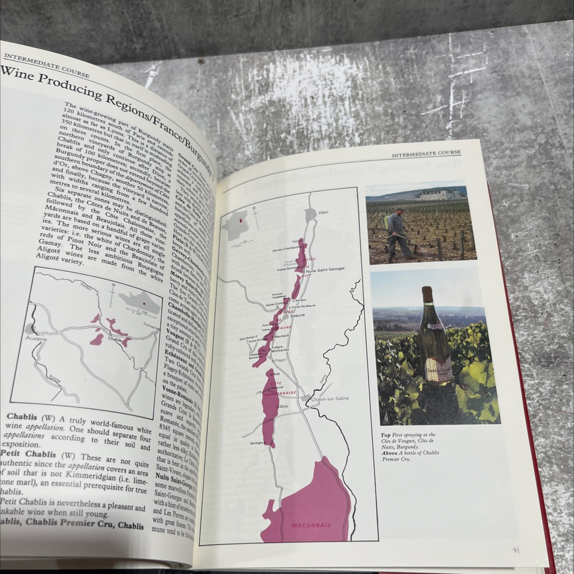 académie du vin complete wine course book, by steven spurrier & michel dovaz, 1983 Hardcover image 4
