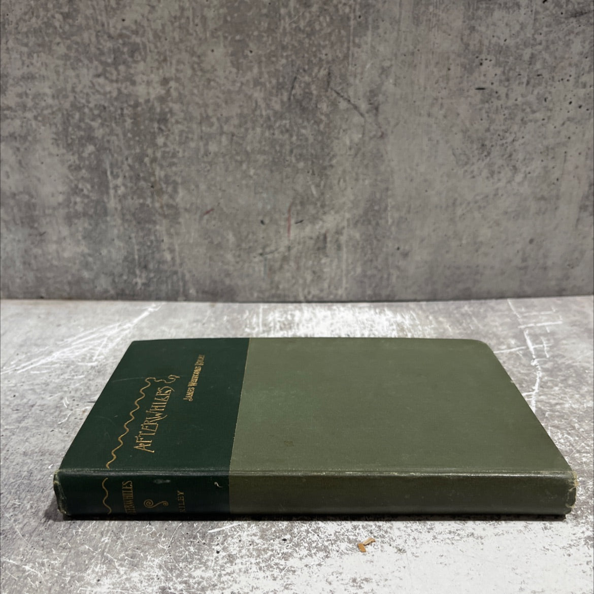 afterwhiles book, by james whitcomb riley, 1894 Hardcover image 4