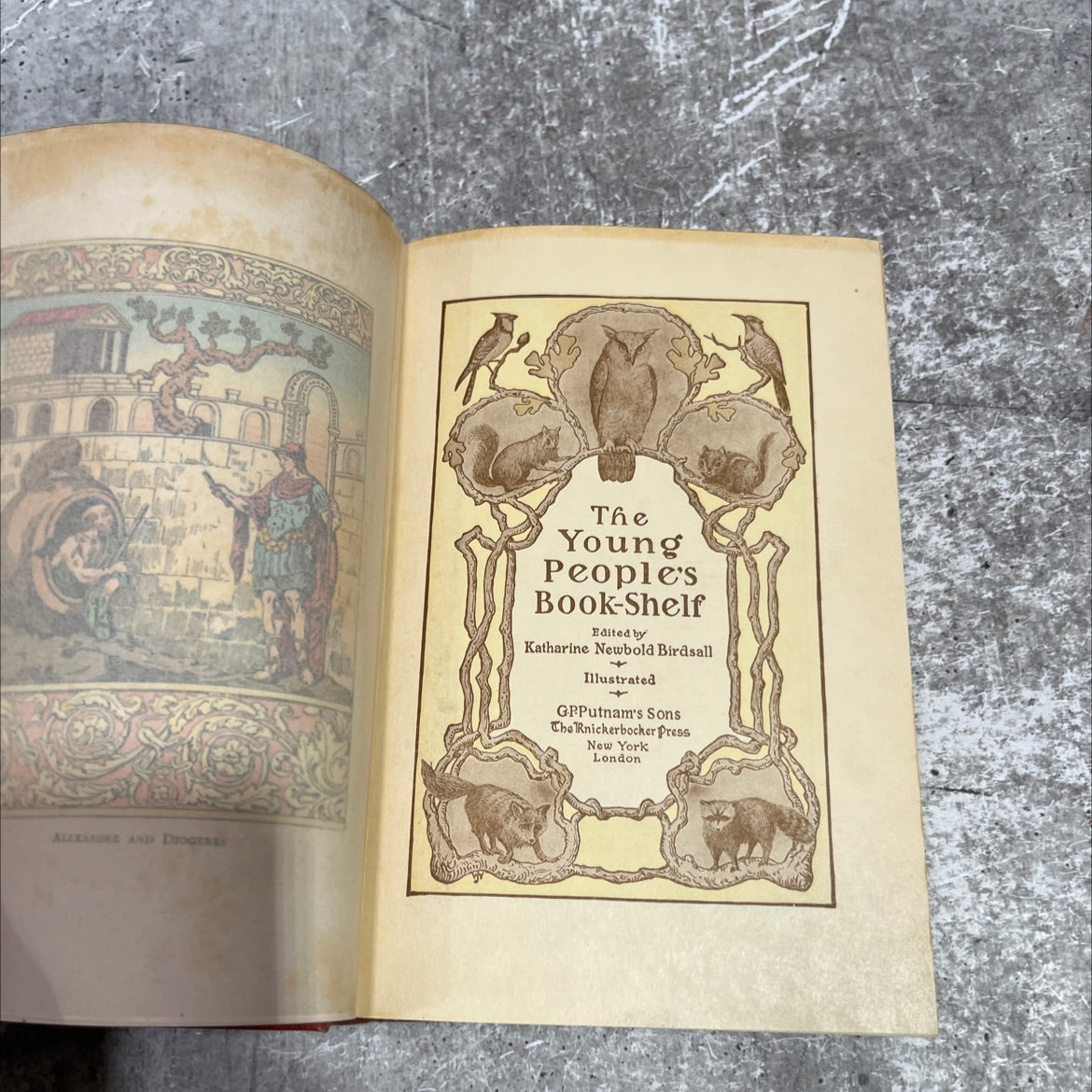 alexander and diogenes book, by katharine newbold birdsall, 1970 Hardcover image 2