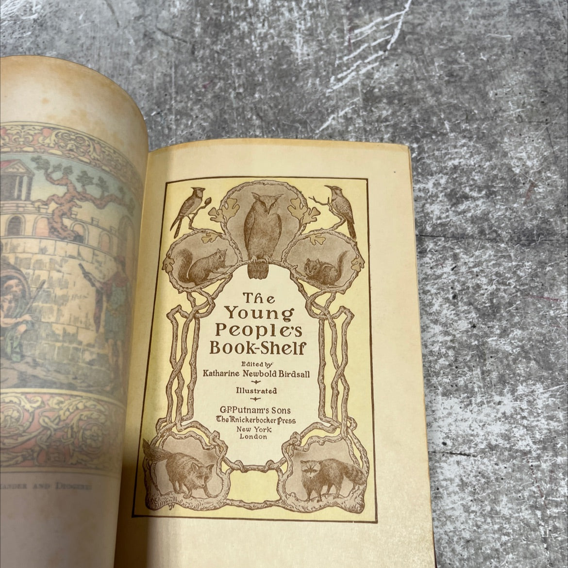 alexander and diogenes book, by katharine newbold birdsall, 1970 Hardcover image 3