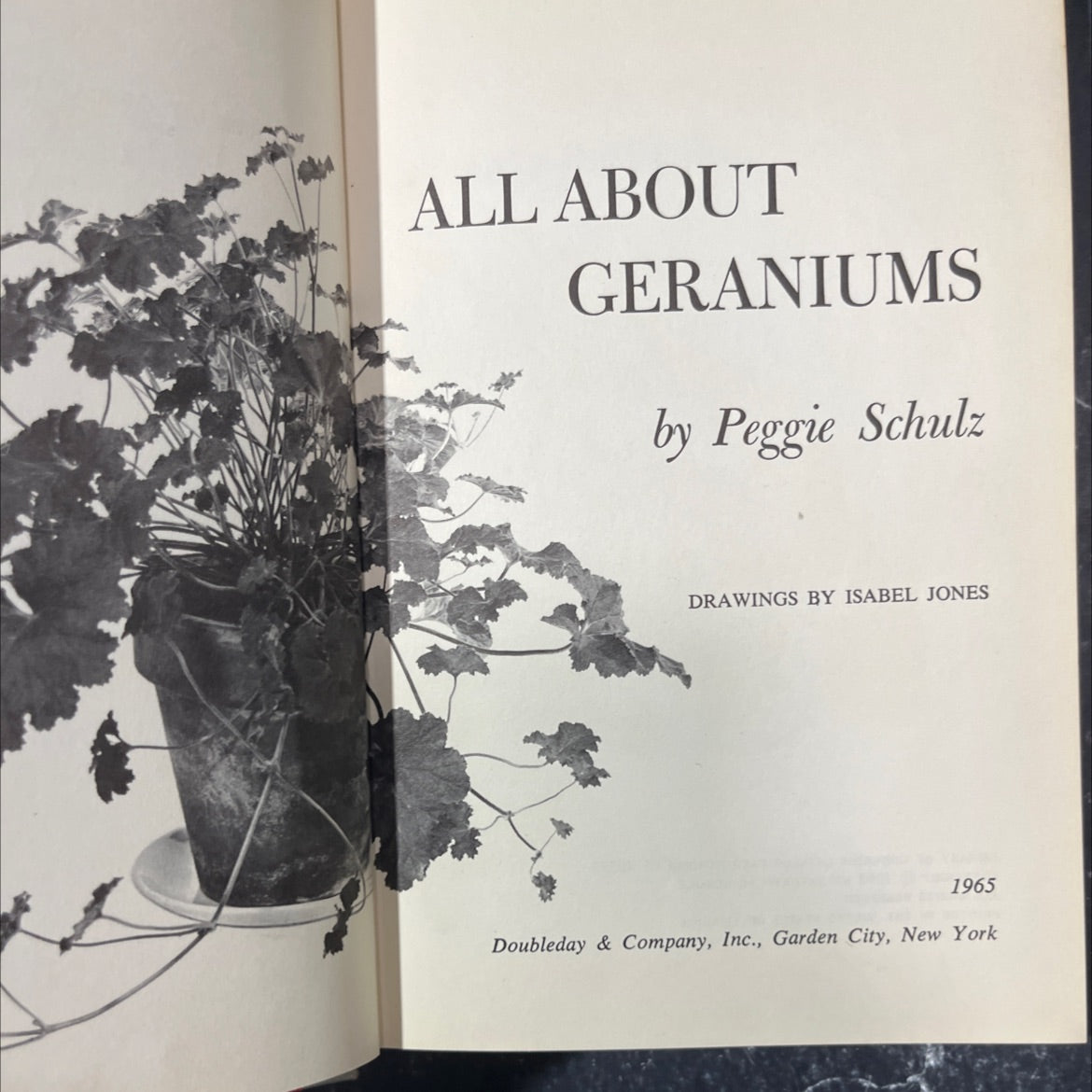 all about geraniums book, by Peggie Schulz, 1965 Hardcover image 2