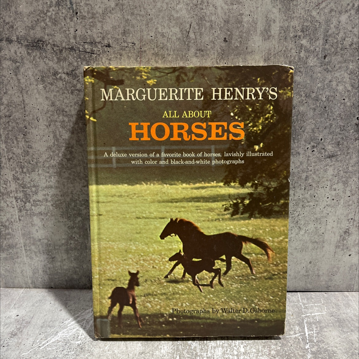 all about horses book, by marguerite henry, 1967 Hardcover image 1