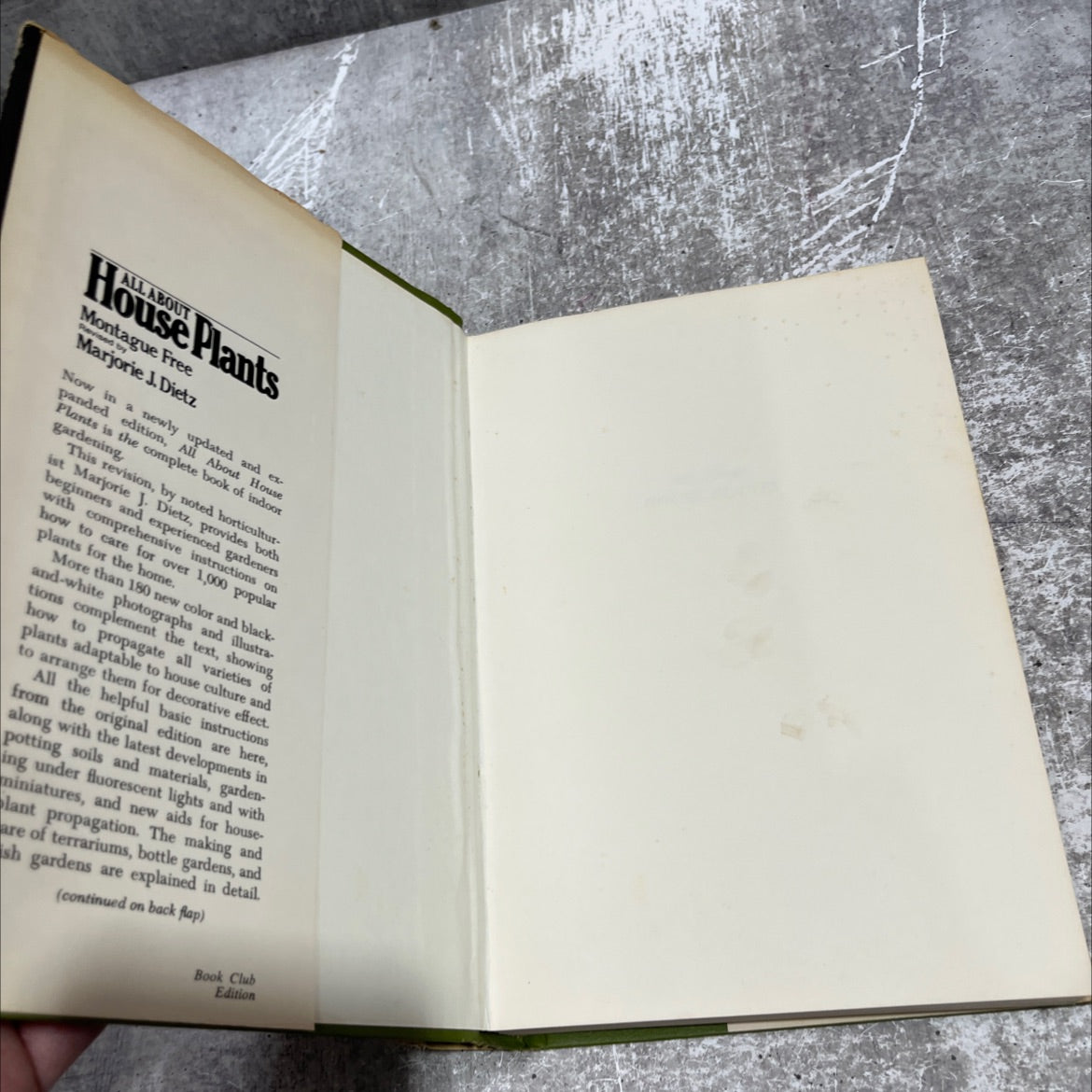 all about house plants their selection, culture, and propagation, and how to use them for decorative effect book, by image 4