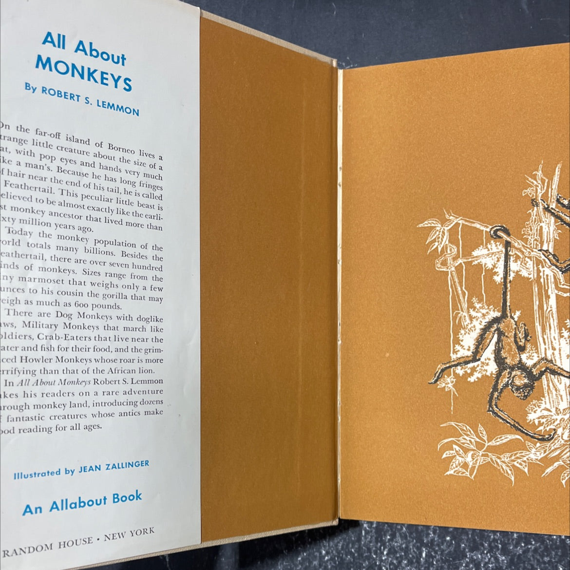 all about monkeys book, by Robert S. Lemmon, 1958 Hardcover image 4