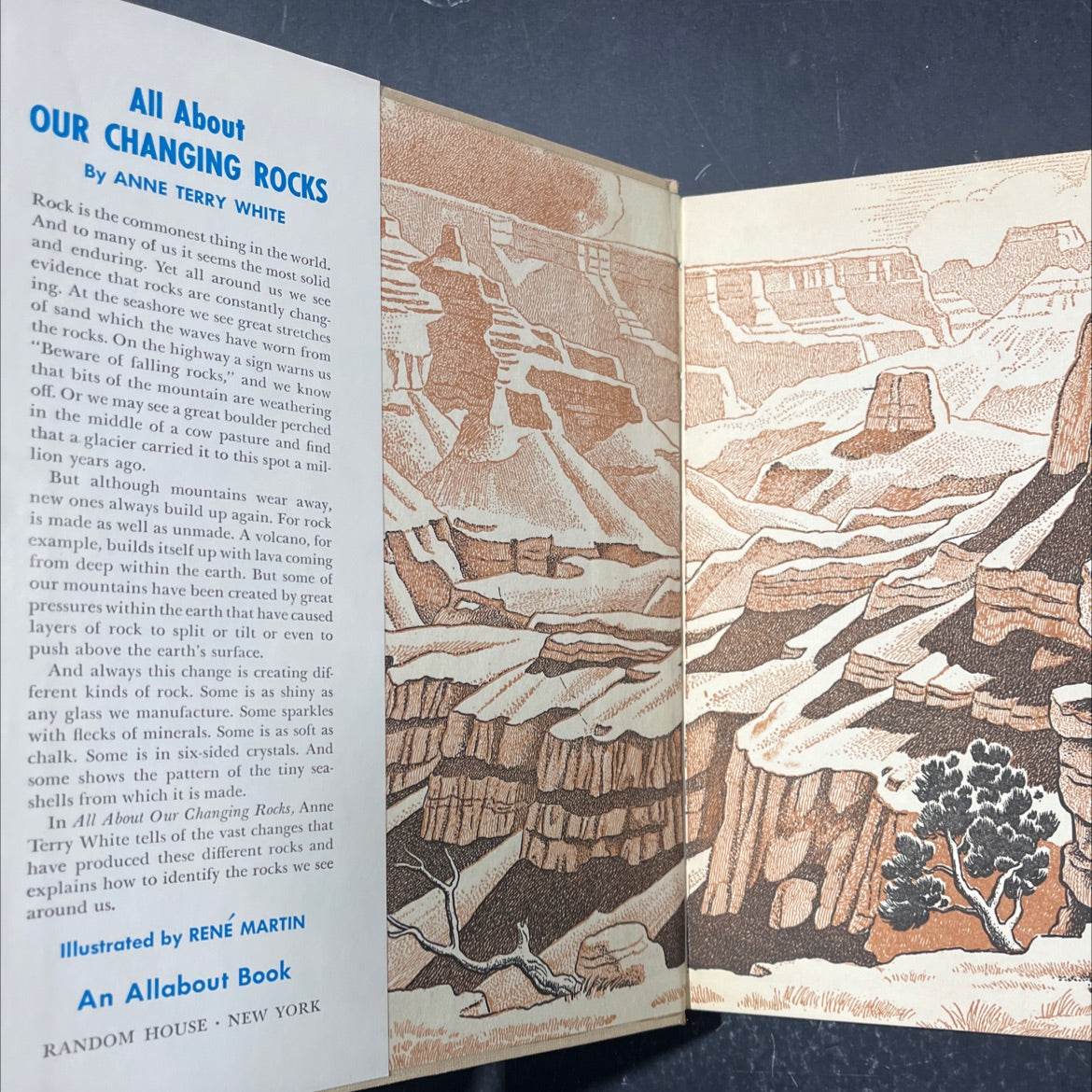 all about our changing rocks book, by Anne Terry White, 1955 Hardcover image 4