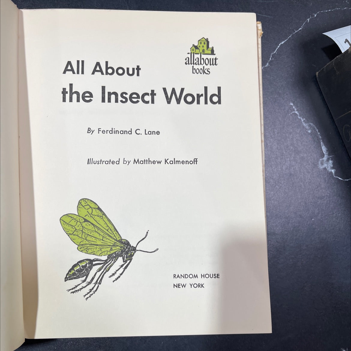 all about the insect world book, by ferdinand c. lane, 1954 Hardcover, Vintage image 2