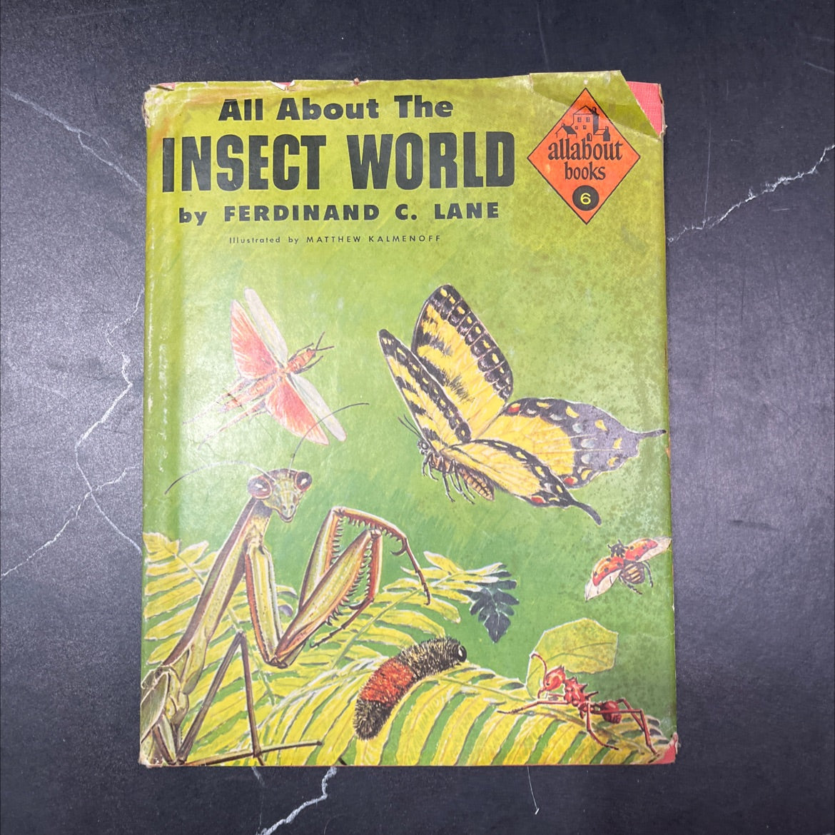 all about the insect world book, by ferdinand c. lane, 1954 Hardcover, Vintage image 1