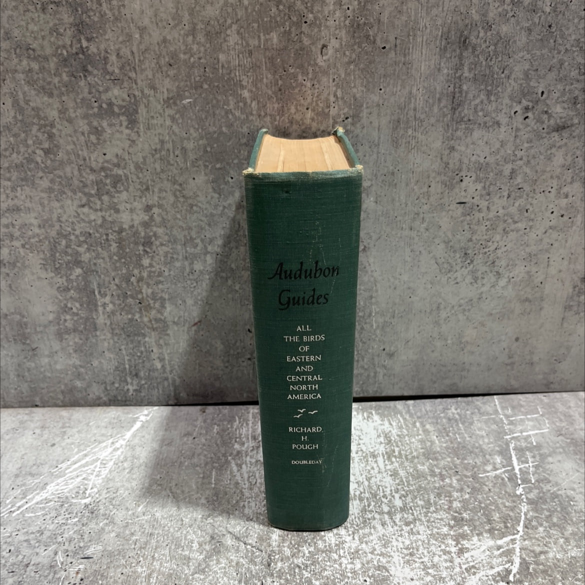 all the birds of eastern and central north america book, by richard h. pough, 1953 Hardcover image 4