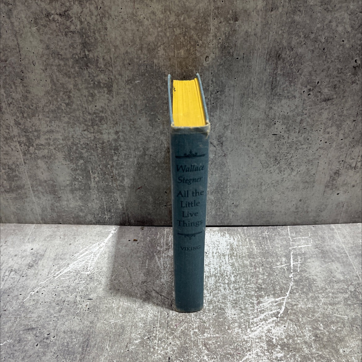 all the little live things book, by wallace stegner, 1967 Hardcover image 4