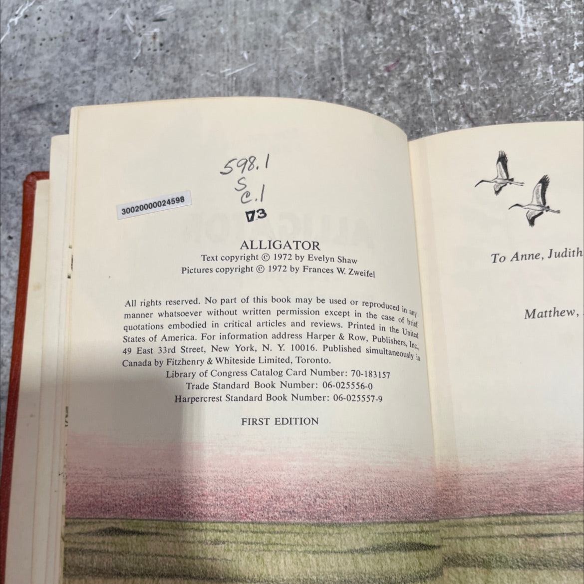 alligator book, by Evelyn Shaw, 1972 Hardcover image 3