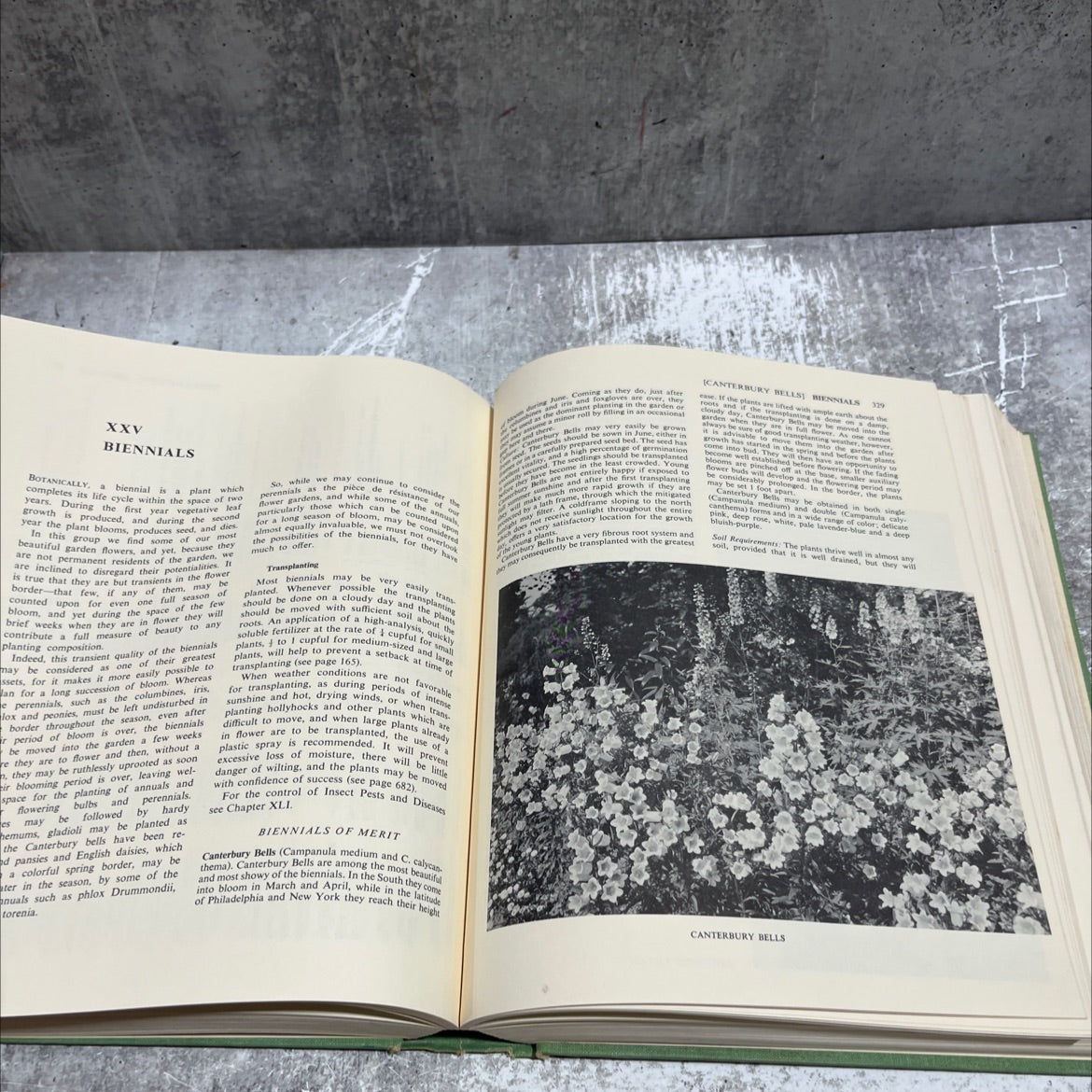 america's azaleas garden book new revised edition book, by james bush-brown, louise bush-brown, 1965 Hardcover image 4