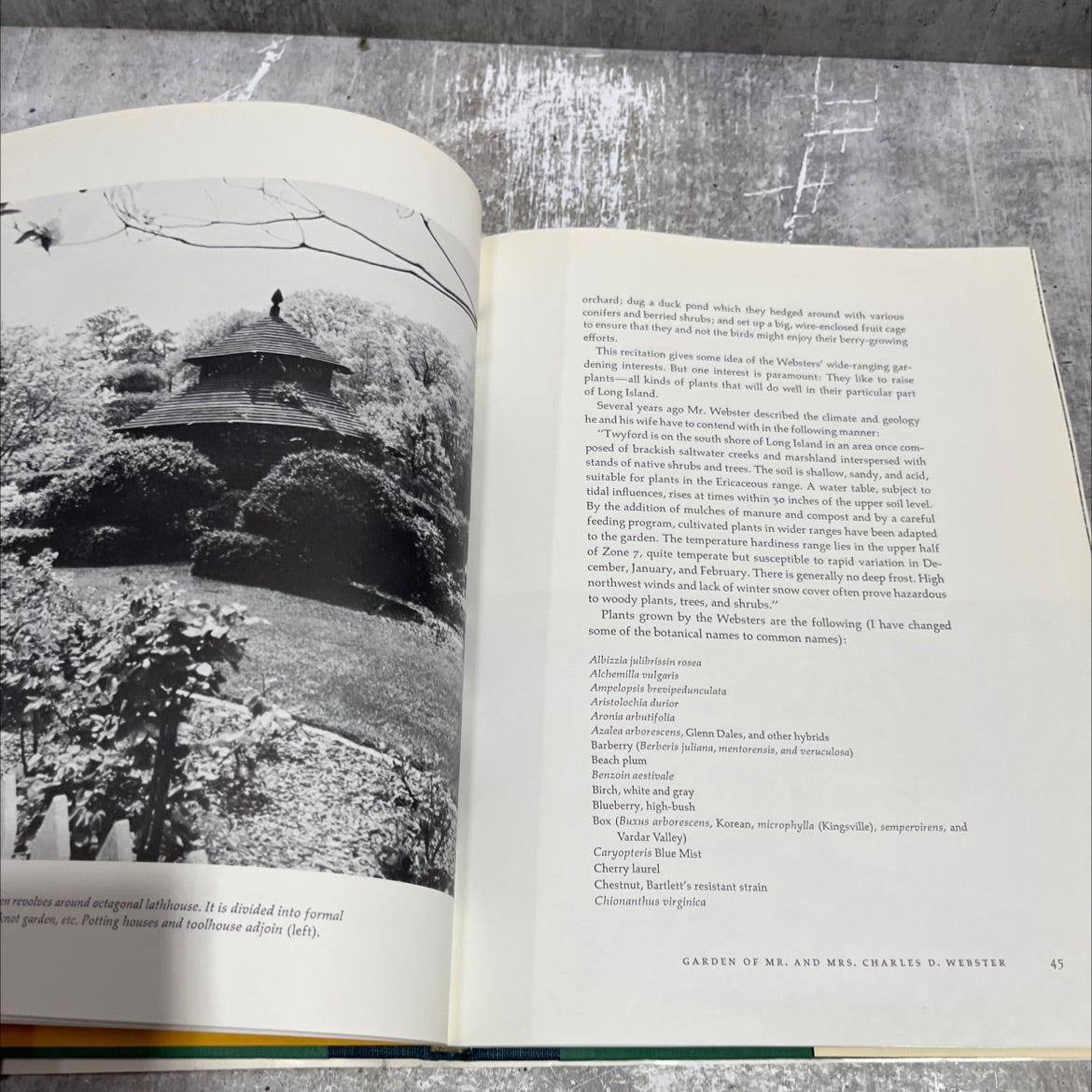america's great private gardens book, by stanley schuler, 1967 Hardcover image 4
