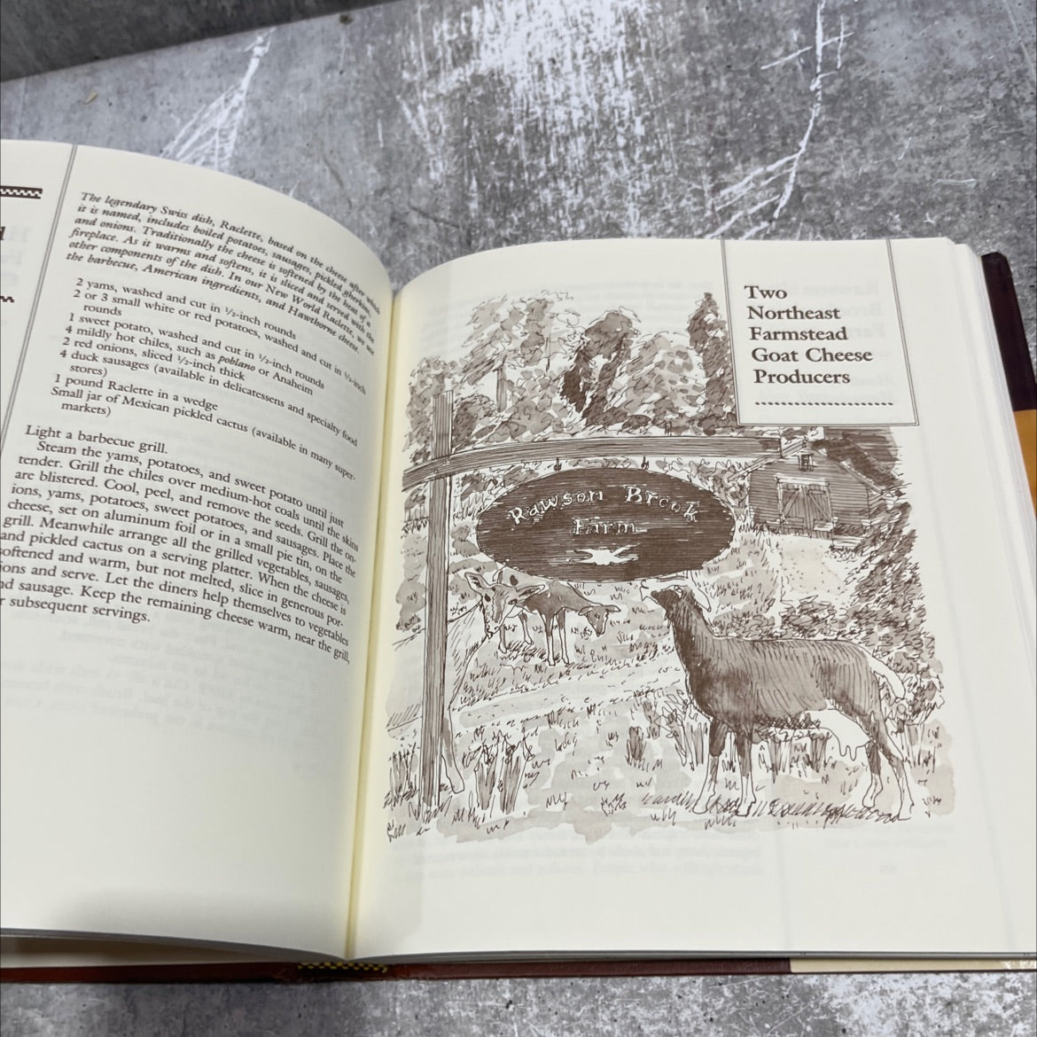 american country cheese book, by Laura Chenel, Linda Siegfried, 1989 Hardcover image 4