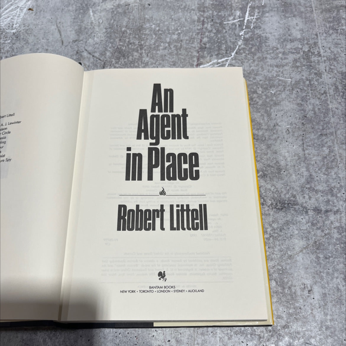 an agent in place book, by robert littell, 1991 Hardcover image 2