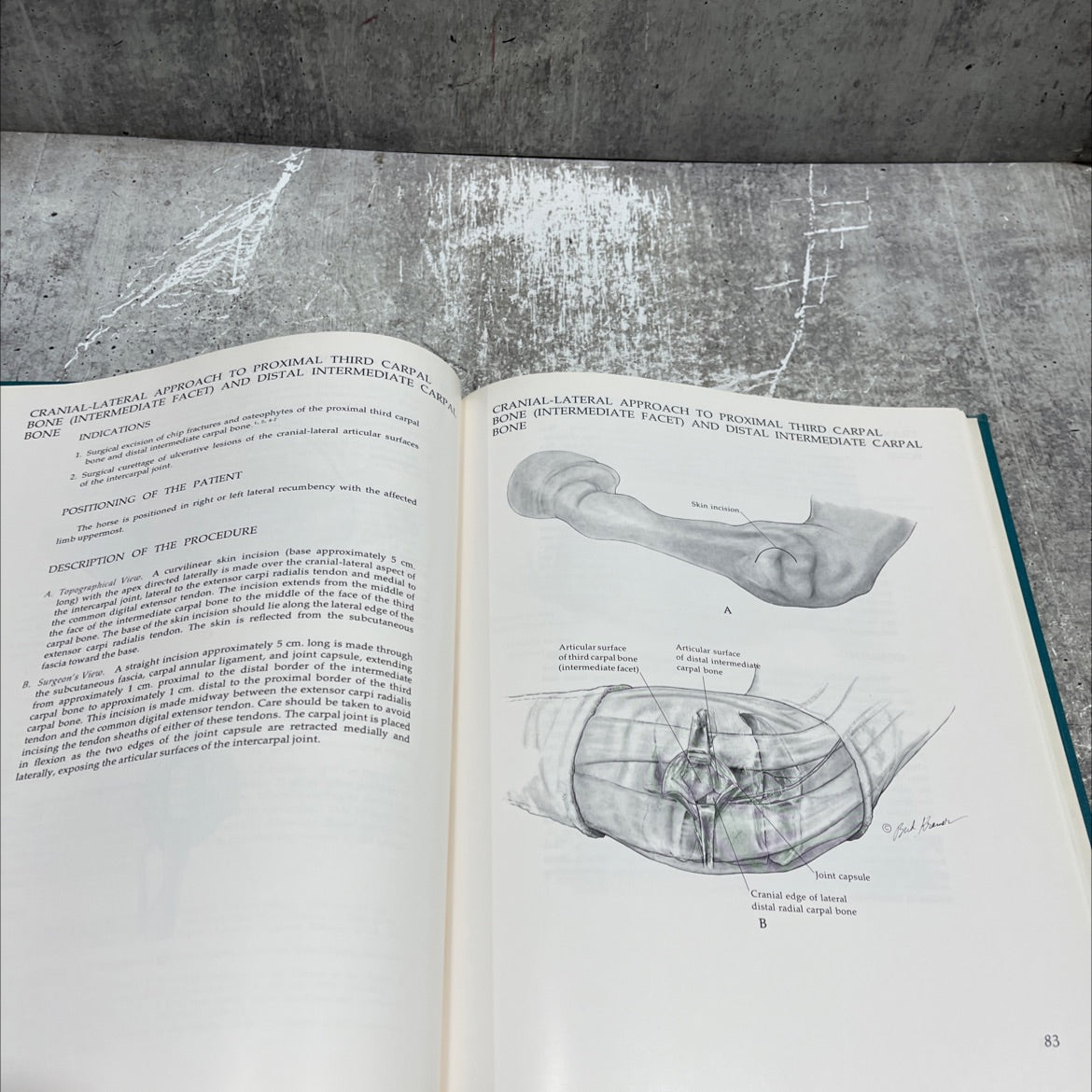 an atlas of surgical approaches to the bones of the horse book, by dennis w. milne, a. simon turner, 1979 Hardcover image 4