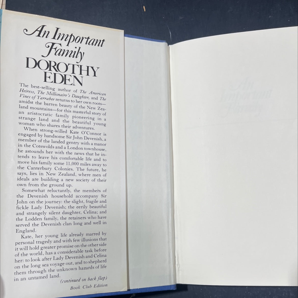 an important family book, by dorothy eden, 1982 Hardcover image 4