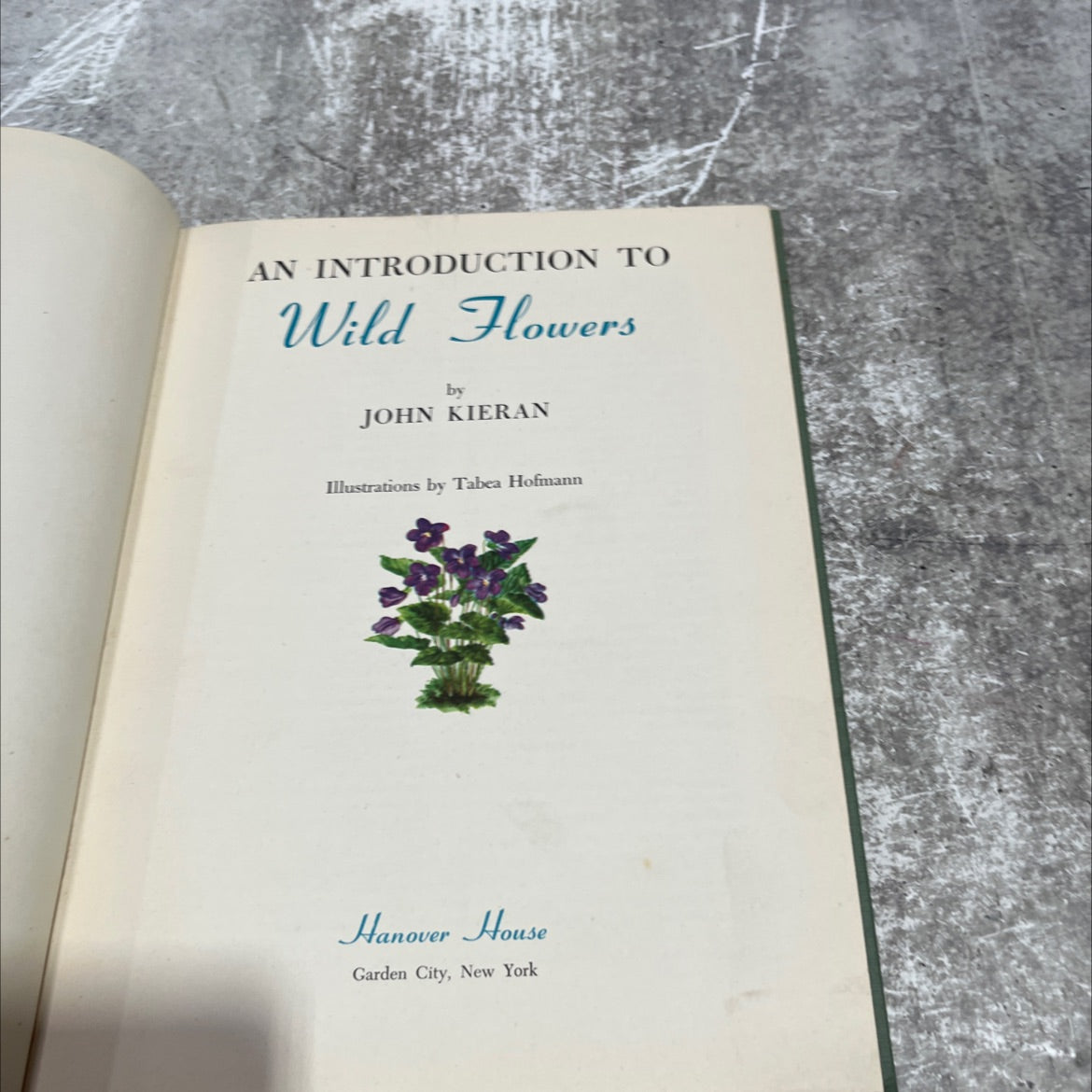 an introduction to wild flowers book, by john kieran, 1952 Hardcover image 2