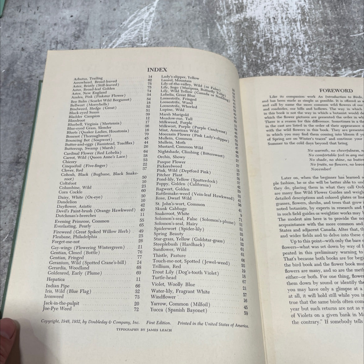 an introduction to wild flowers book, by john kieran, 1952 Hardcover image 3