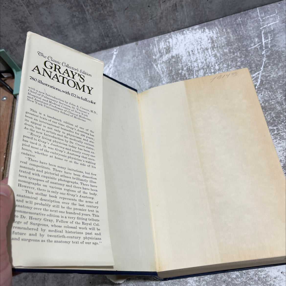 anatomy, descriptive and surgical book, by henry gray, 1977 Hardcover image 4