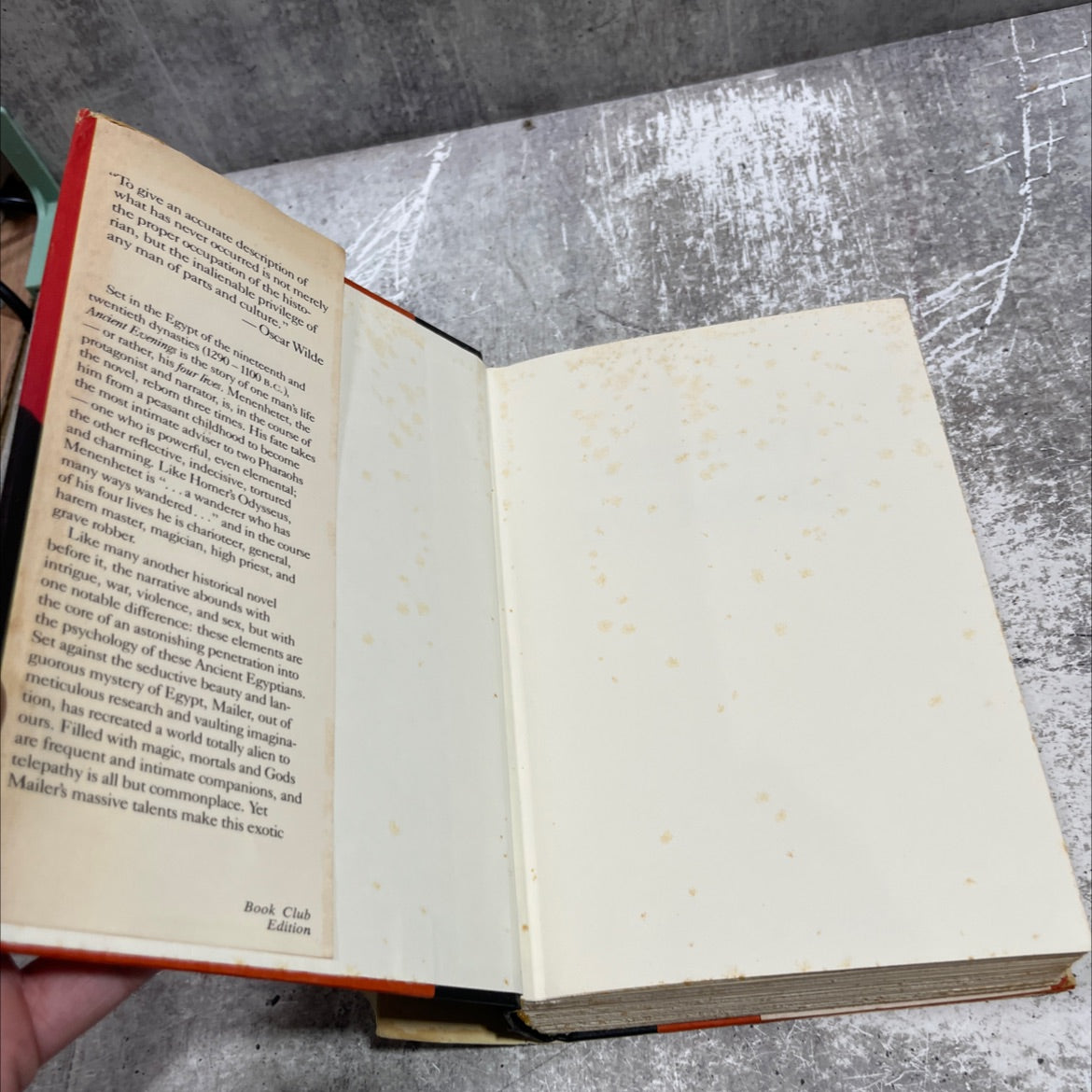 ancient mailer evenings book, by norman mailer, 1983 Hardcover image 4
