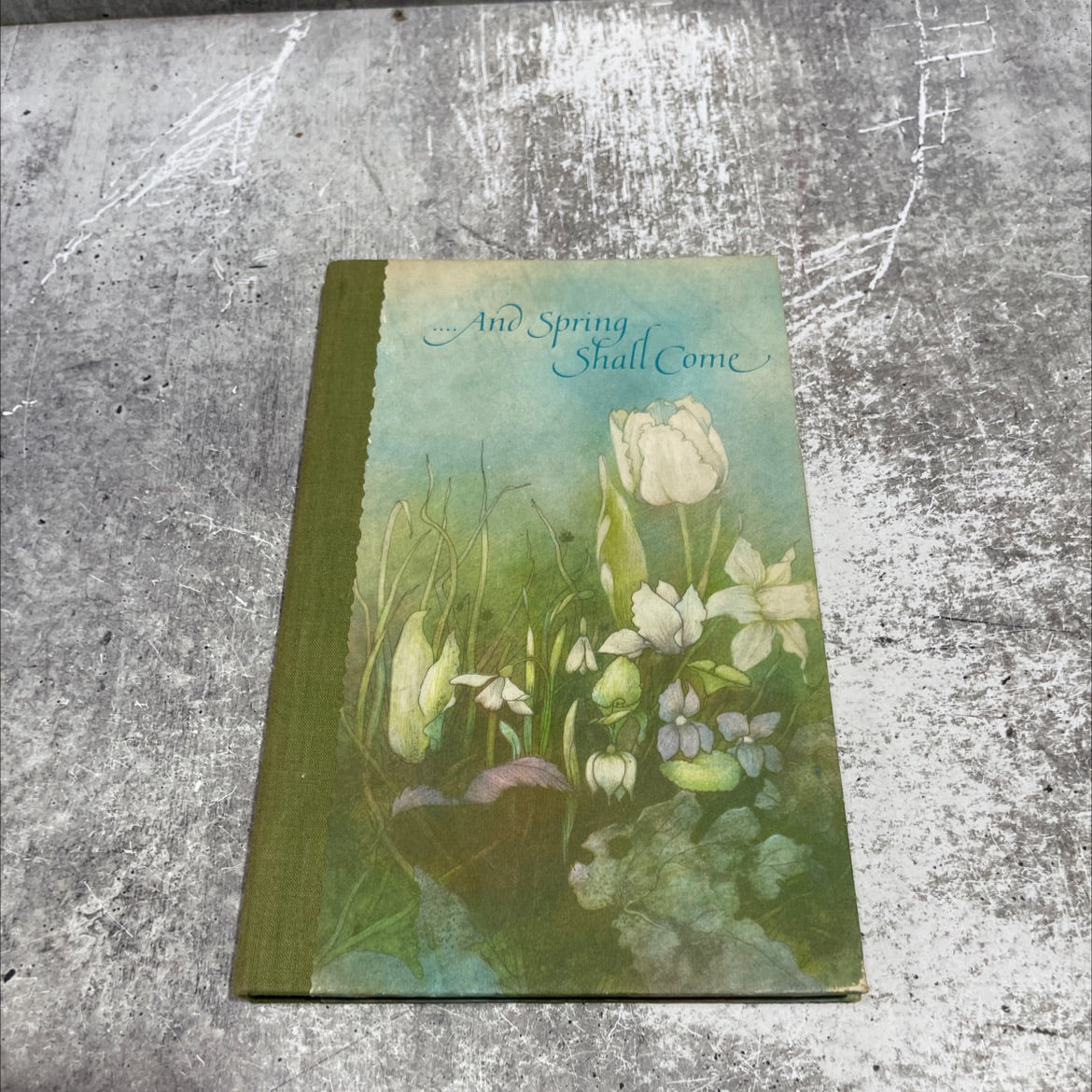 and spring shall come book, by dean walley, 1971 Hardcover image 1